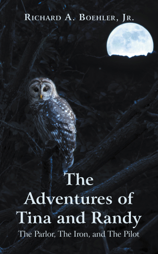 表紙画像: The Adventures of Tina and Randy 9781665571319