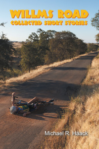 Cover image: Willms Road 9781665571609