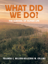 Cover image: What Did We Do? 9781665572033
