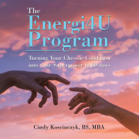 Imagen de portada: The Energi4u Program 9781665572705