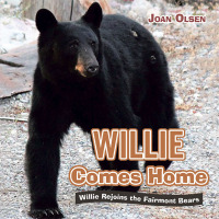 Cover image: Willie Comes Home 9781665574679