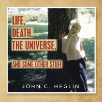 Cover image: Life, Death, the Universe, and Some Other Stuff 9781665575812