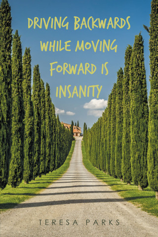 Cover image: Driving Backwards While Moving Forward Is Insanity 9781665577663
