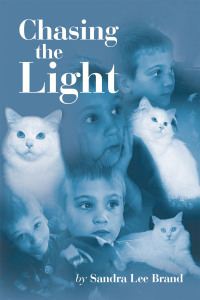 Imagen de portada: Chasing the Light 9781665579339