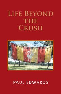 Cover image: Life Beyond the Crush 9781665580892