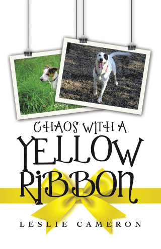 Cover image: Chaos with a Yellow Ribbon 9781665587181