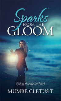 Imagen de portada: Sparks from the Gloom 9781665588904