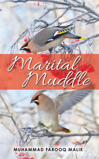 Cover image: Marital Muddle 9781665590525