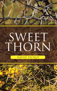 Imagen de portada: Sweet Thorn 9781665591638