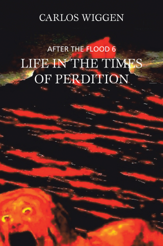 Cover image: Life in the Times of  Perdition 9781665593892