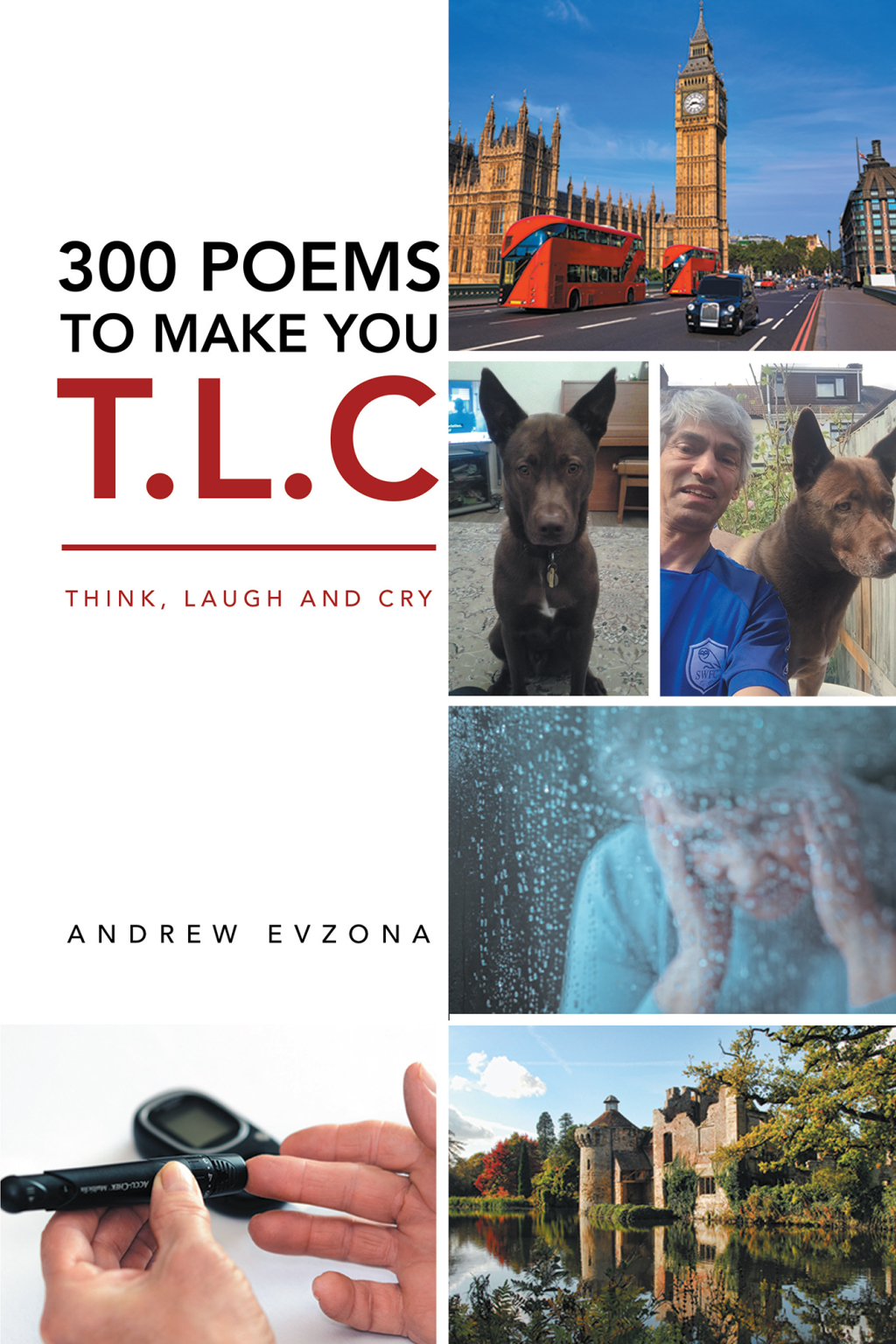 300 Poems to Make You T.L.C Think, Laugh and Cry