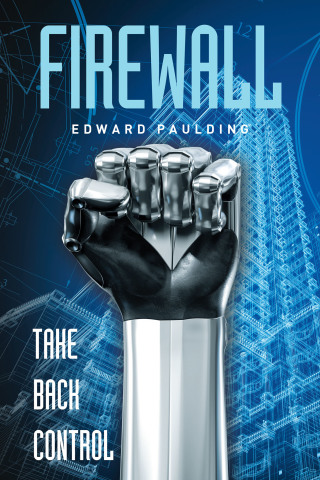 Cover image: Firewall 9781665596077
