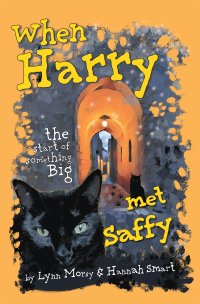 Cover image: When Harry Met Saffy 9781665596923