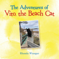Omslagafbeelding: The Adventures of Vito, the Beach Cat 9781480899995