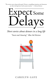 Cover image: Expect Some Delays 9781665700405