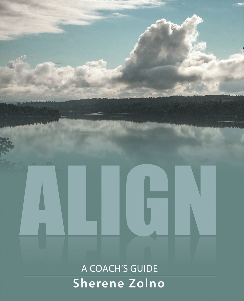 Align (eBook)