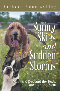 Cover image: Sunny Skies and Sudden Storms 9781665703154