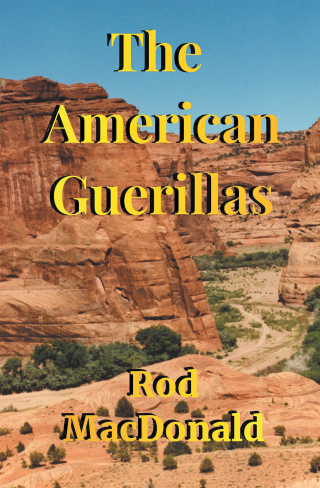 Omslagafbeelding: The American Guerillas 9781665703734