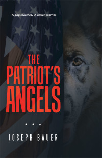 Cover image: The Patriot’s Angels 9781665704281