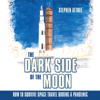 Cover image: The Dark Side of the Moon 9781665705509