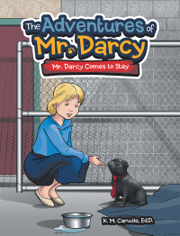 Cover image: The Adventures of Mr. Darcy 9781665707138