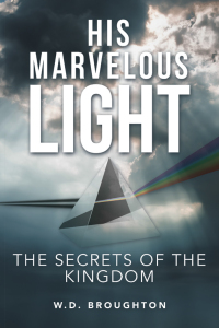 Cover image: His Marvelous Light 9781665709330