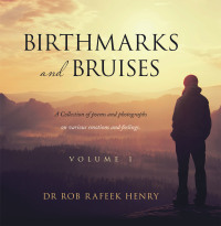 Imagen de portada: Birthmarks and Bruises 9781665715126