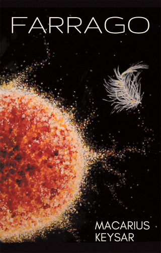 Titelbild: Farrago 9781665715539