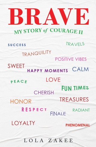 Cover image: Brave 9781665715706