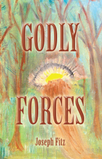 Cover image: Godly Forces 9781665719117