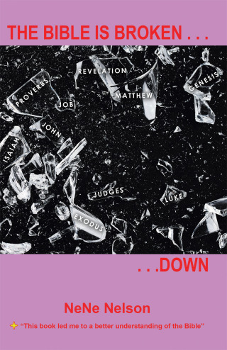 Cover image: The Bible Is Broken...Down 9781665719742