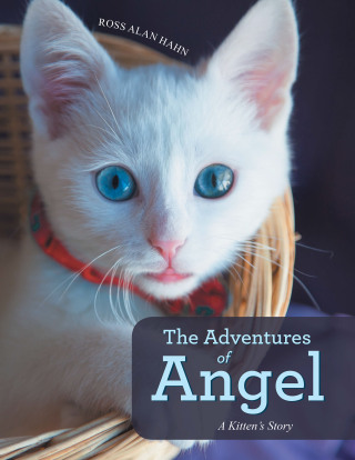 Imagen de portada: The Adventures of Angel 9781665723152