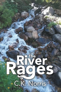 Cover image: The River Rages 9781665721363