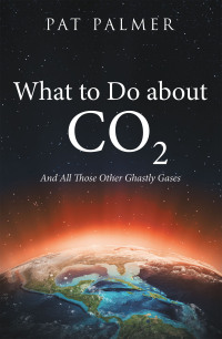 Cover image: What to Do About Co2 9781665724487