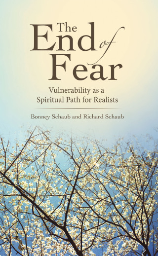 Imagen de portada: The End of Fear 9781665724999