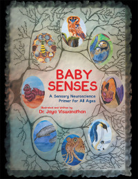 表紙画像: Baby Senses 9781665737159