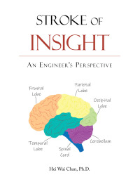 Cover image: Stroke of Insight 9781665737821