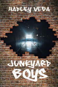 Titelbild: Junkyard Boys 9781665738767