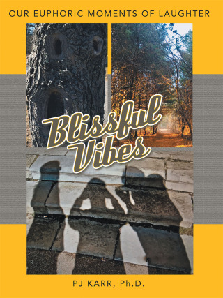 Cover image: Blissful Vibes 9781665739160