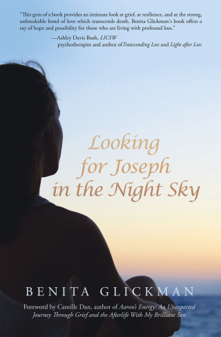 Imagen de portada: Looking for Joseph in the Night Sky 9781665746212