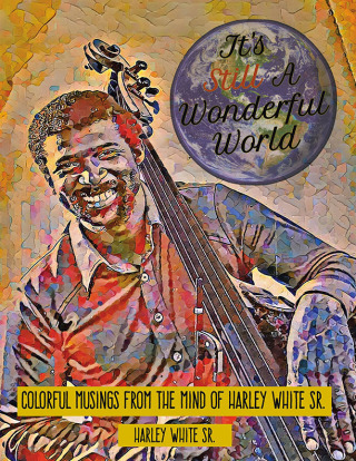 Cover image: It's Still A Wonderful World 9781665746694