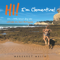 Cover image: Hi! I’m Clementine! 9781665748964