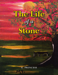 表紙画像: The Life of a Stone 9781665750264