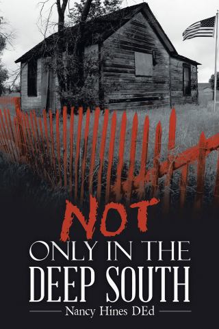 Cover image: Not Only in the Deep South 9781665756273