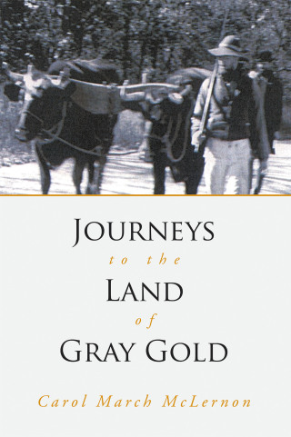 Cover image: Journeys to the Land of Gray Gold 9781665773188