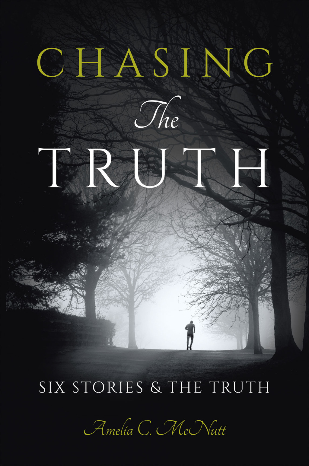 Chasing The Truth SIX STORIES    &  THE TRUTH