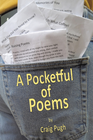 Cover image: A Pocketful of Poems 9781665777605