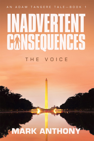 Imagen de portada: Inadvertent Consequences 9781665785860