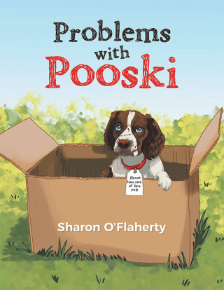 Titelbild: Problems with Pooski 9781665790932