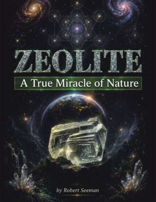 Cover image: Zeolite 9781665798198
